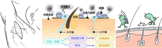 兰州北大皮肤科
